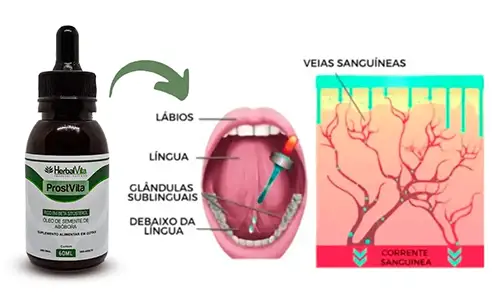 Como funciona
